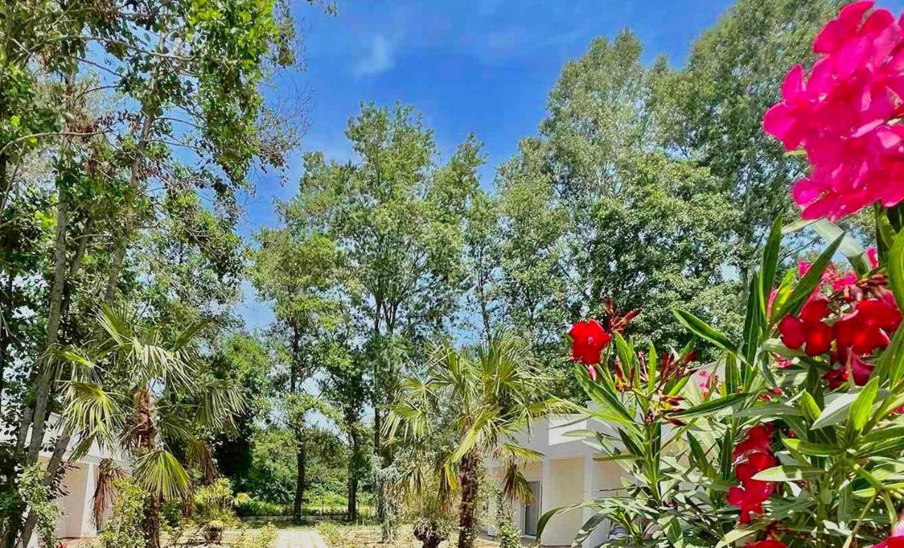 Garden Vila Donji Stoj