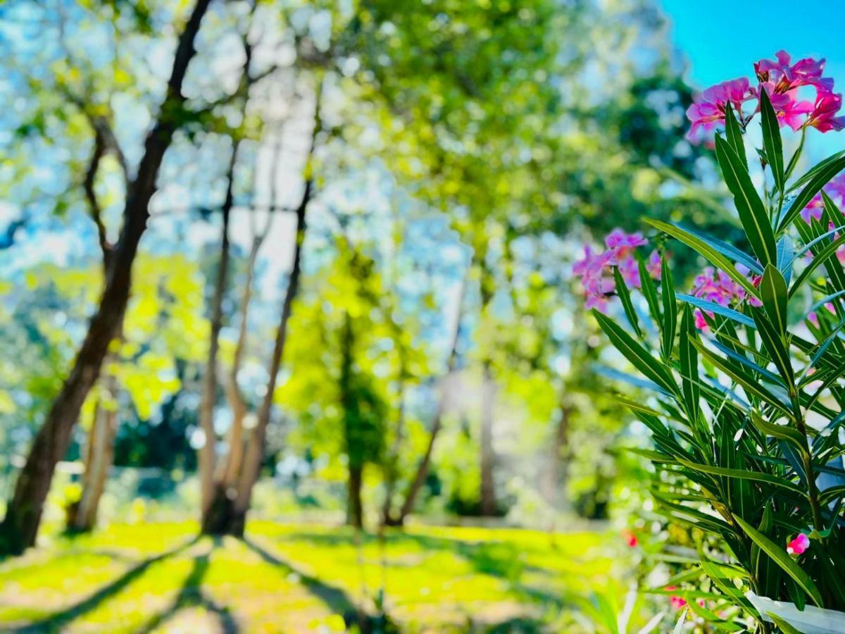 Garden Donji Stoj